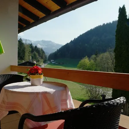 Pensionat Gaestehaus Meisl 3*